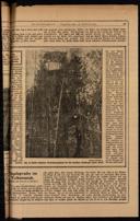 Seite 45