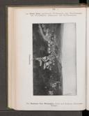 Seite 194